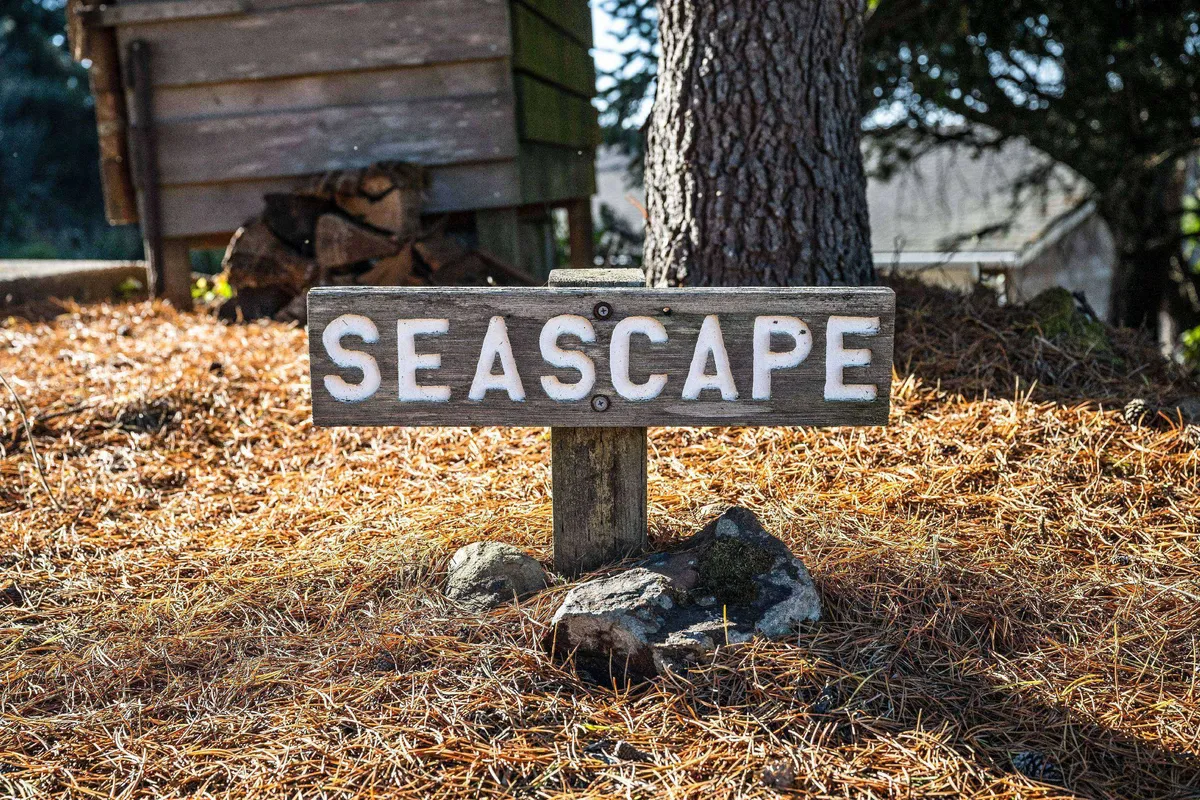 A close-up of a rustic wooden sign inscribed with 'SEASCAPE,' surrounded by pine needles, rocks, and hints of natural foliage. Background elements include a shed and a tree, hinting at the property's proximity to natural settings and adventure opportunities.